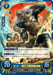 B12-063 フェリアの西王 バジーリオ HN