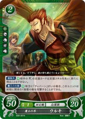 B09-081 鷹王の耳 ウルキ N