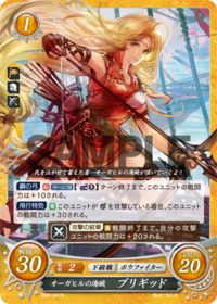 B06-041 オーガヒルの海賊 ブリギッド N