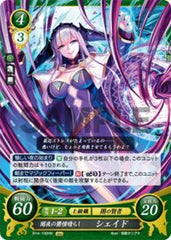 B14-100 闇夜の欝憤晴らし シェイド HN