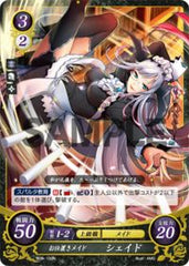 B06-100 お仕置きメイド シェイド N