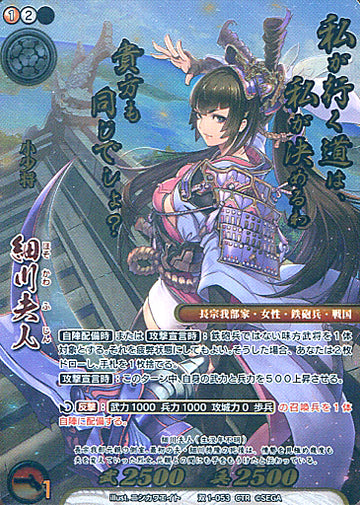 Hosokawa-fujin CTR