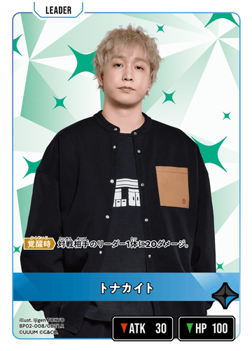 BP02-008/082 トナカイト LR