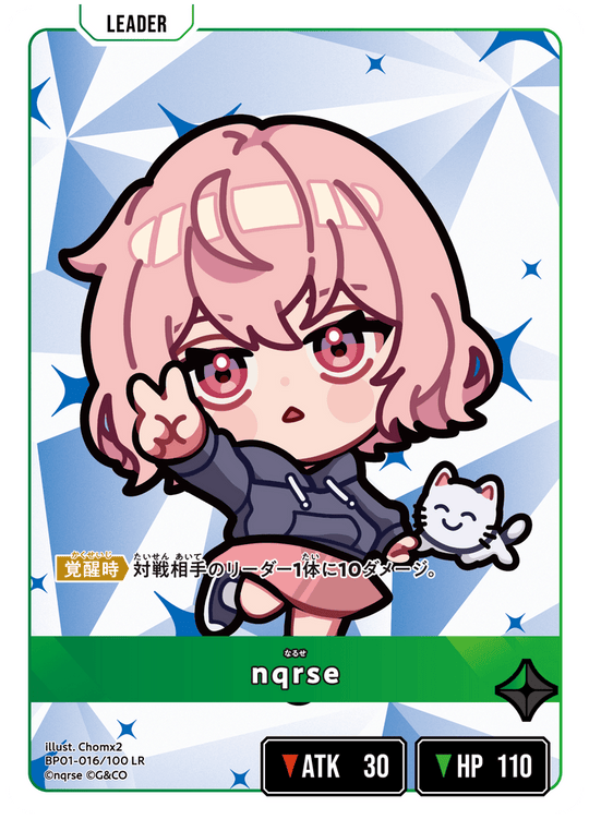 BP01-016/100 LR nqrse