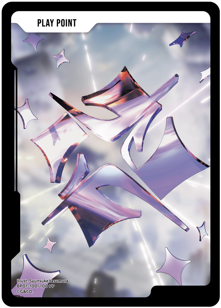 BP01-100/100 PP PP card